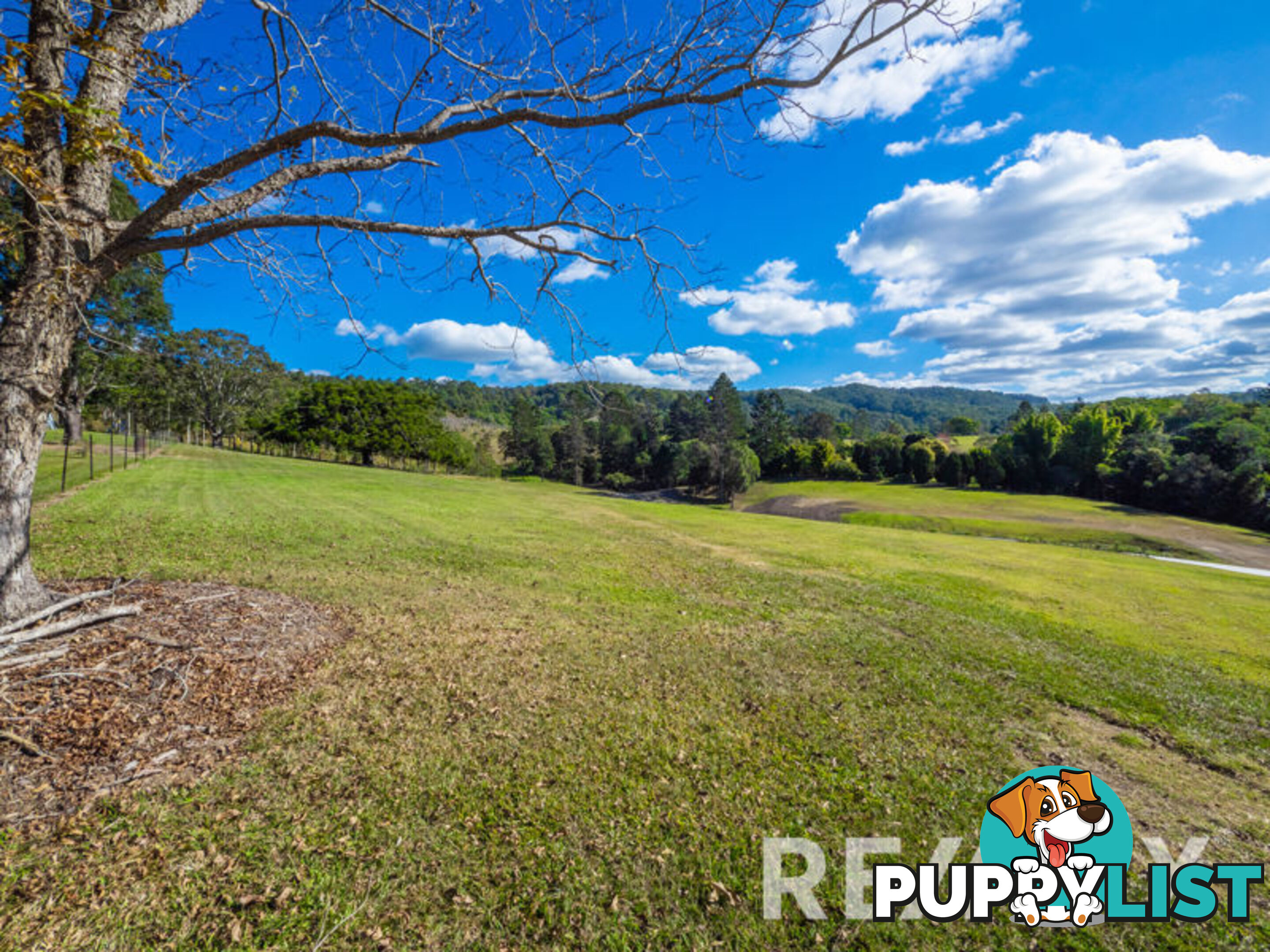 11 Camfin Road CLEAR MOUNTAIN QLD 4500