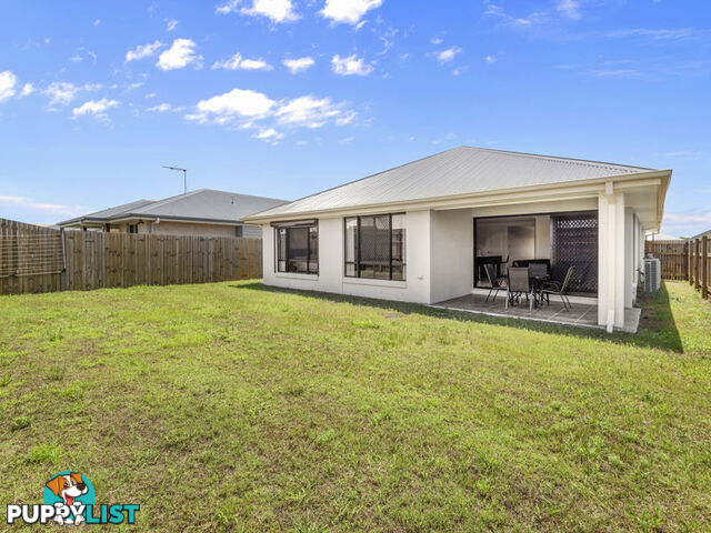 12 Newton Street CABOOLTURE SOUTH QLD 4510