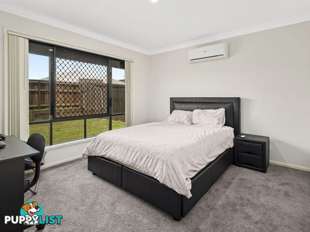 12 Newton Street CABOOLTURE SOUTH QLD 4510