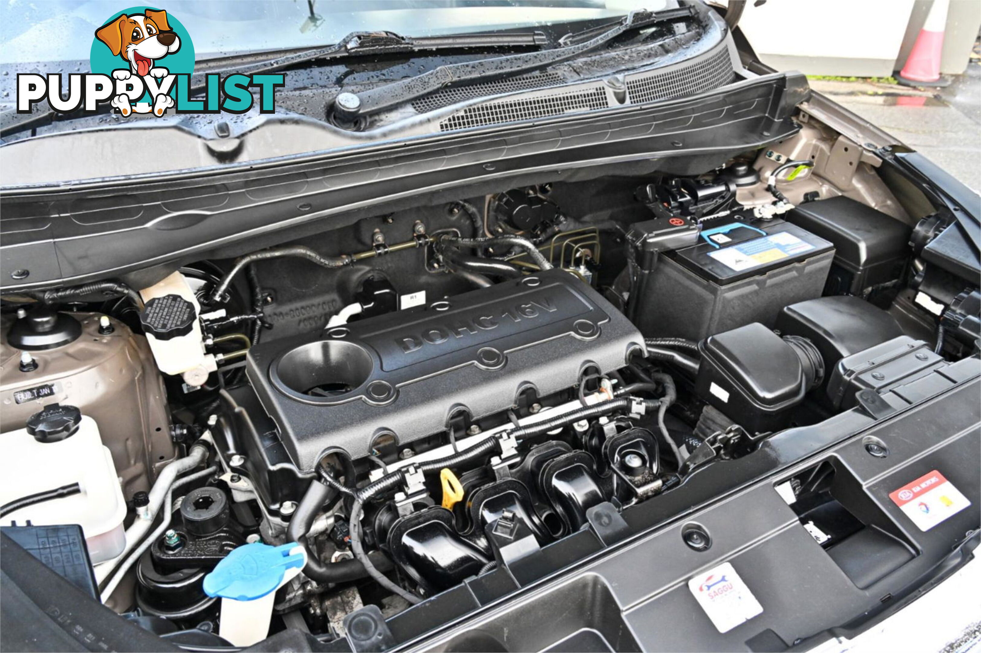 2013 KIA SPORTAGE SLI AUTO4X4MY13 SUV