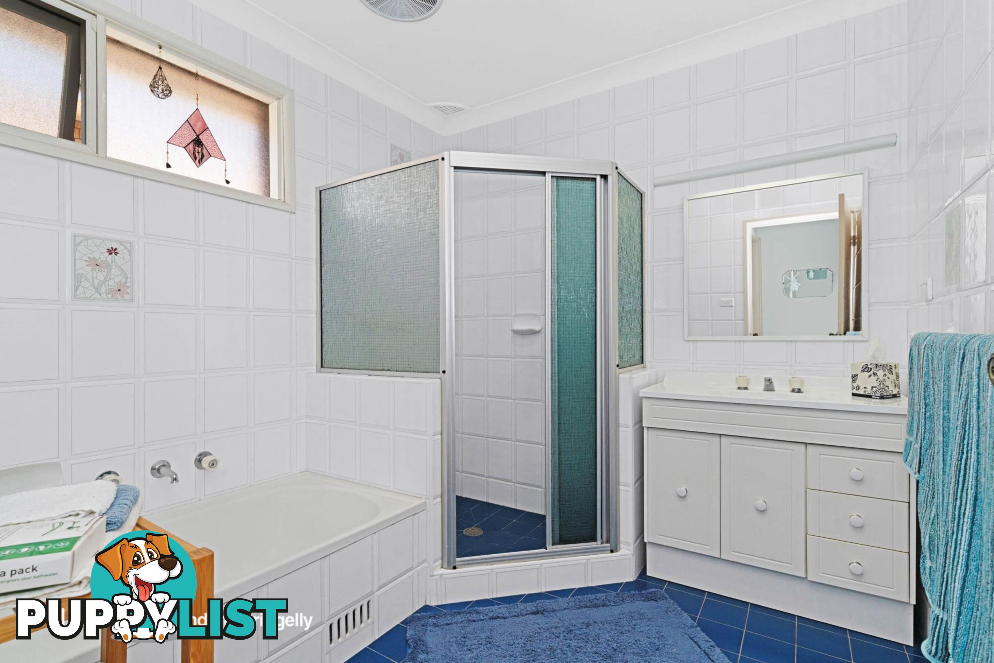 9 Larnach Place ELDERSLIE NSW 2570