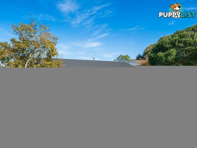 7 Forrest Crescent CAMDEN NSW 2570