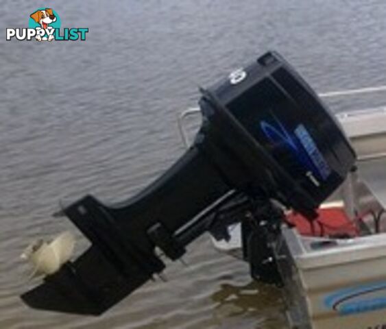 Seaking 40hp 2-Stroke Outboard Engine (Long Shaft + Forward Control + Electric Start)