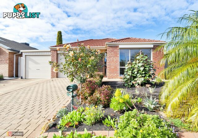 34 Parkway Cct PARAFIELD GARDENS SA 5107