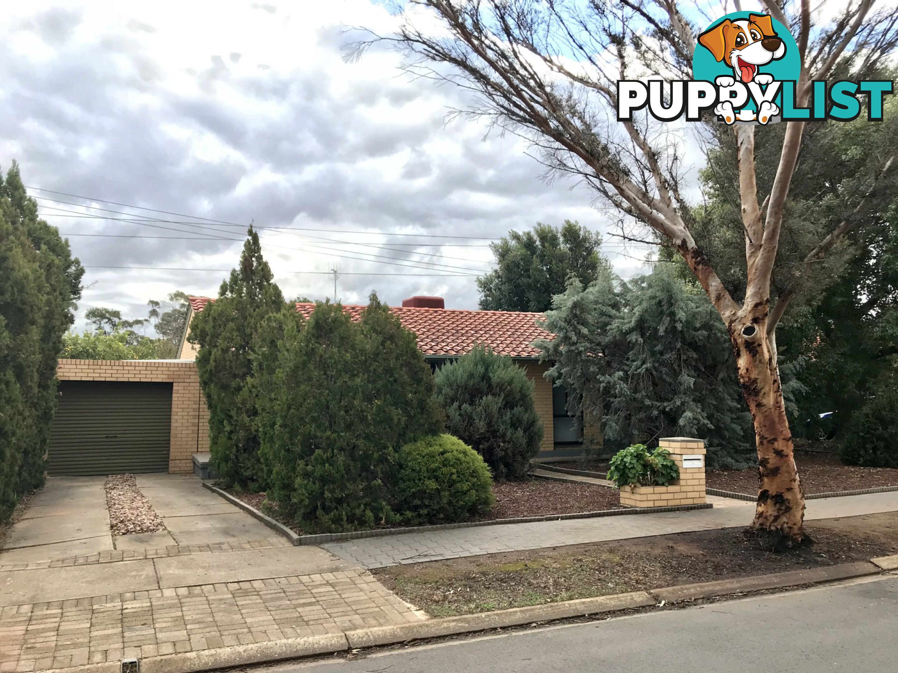 16 Dulkara Avenue CRAIGMORE SA 5114