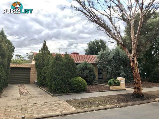 16 Dulkara Avenue CRAIGMORE SA 5114