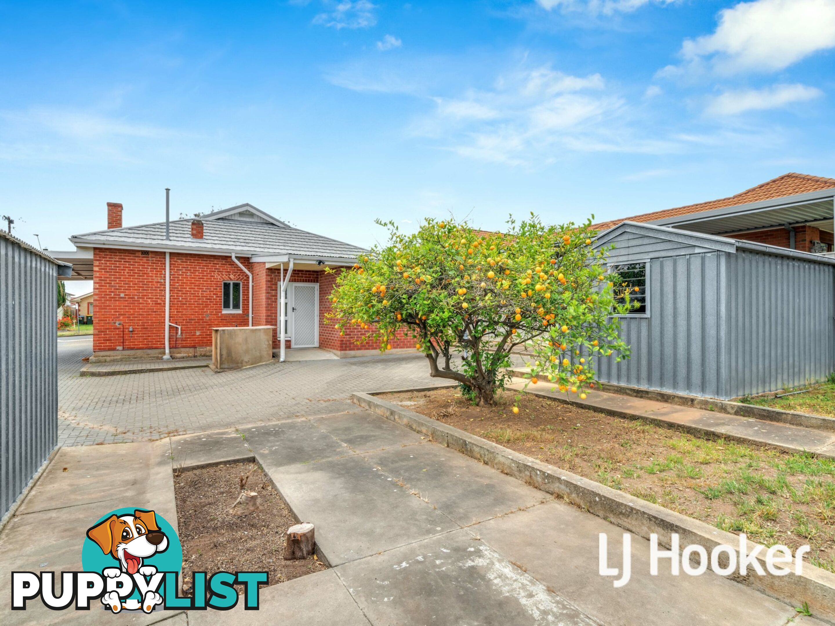 39 Clifton Street BLAIR ATHOL SA 5084