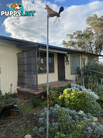 21 Murray Park MANNUM SA 5238