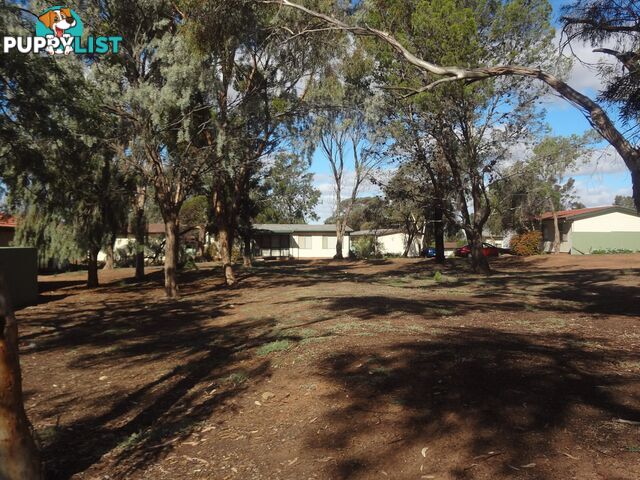 21 Murray Park MANNUM SA 5238