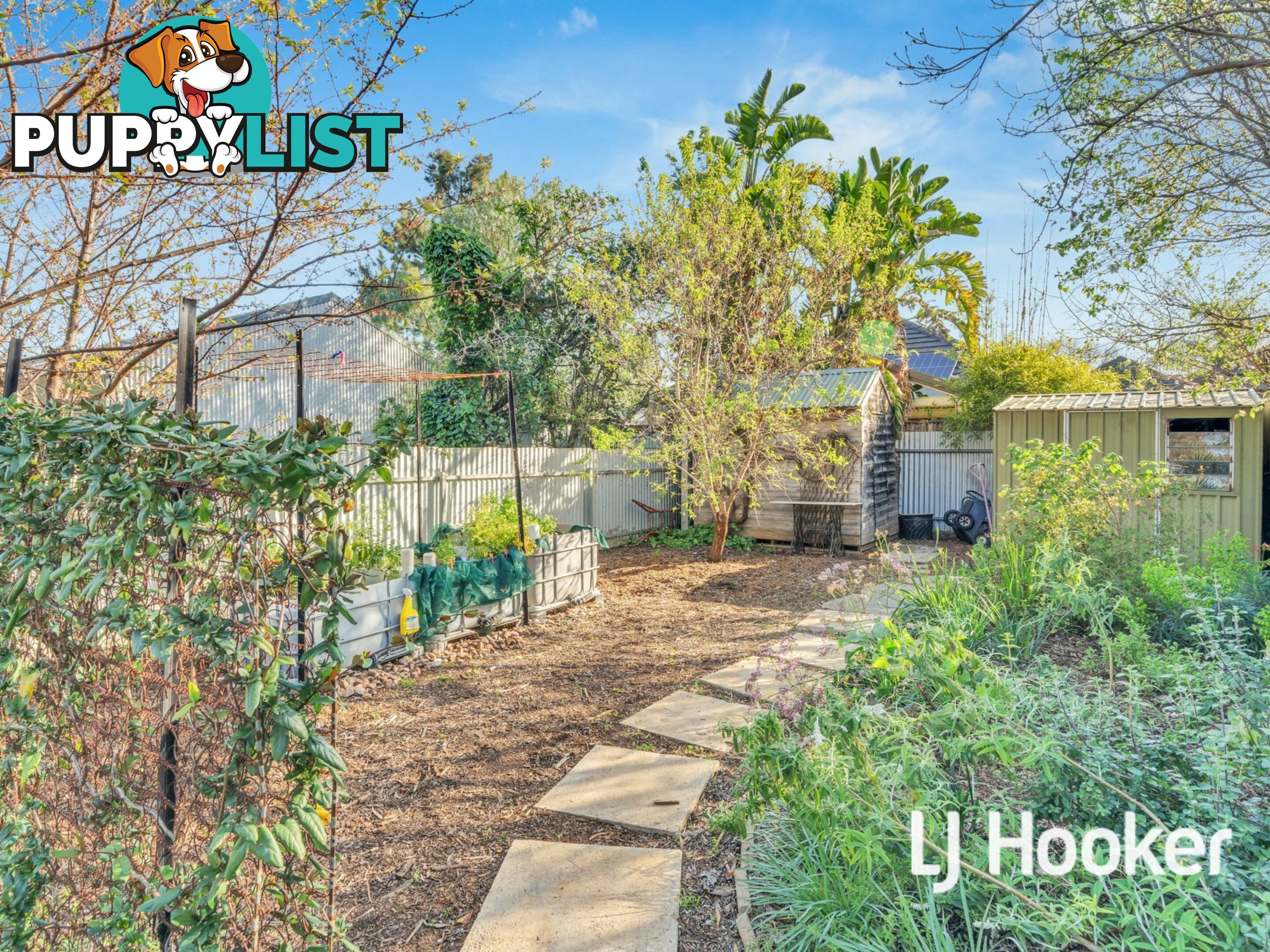 40 Augusta St MAYLANDS SA 5069