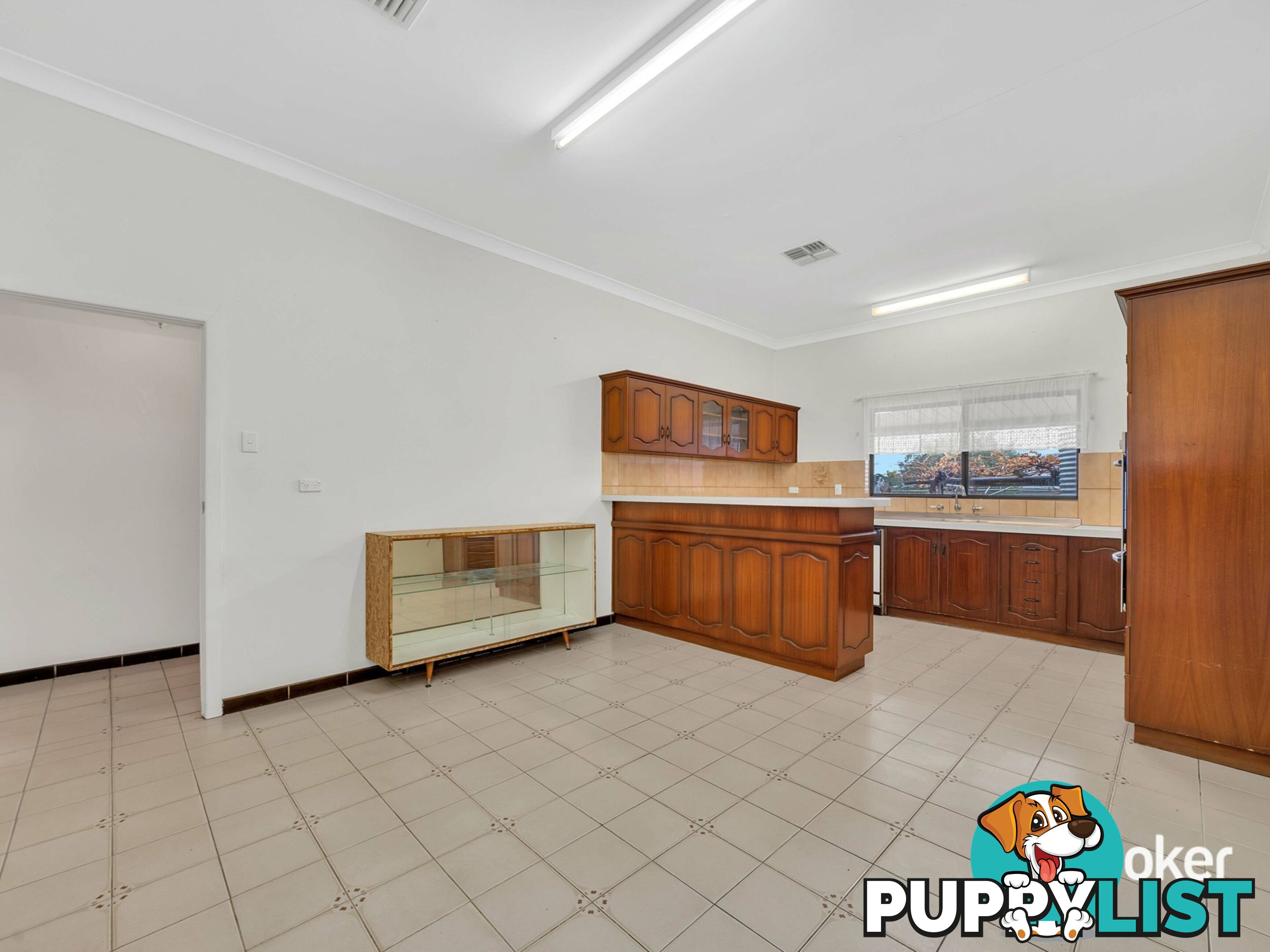 62 Gladstone Road PROSPECT SA 5082