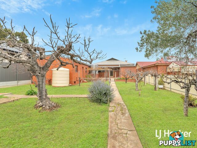 62 Gladstone Road PROSPECT SA 5082