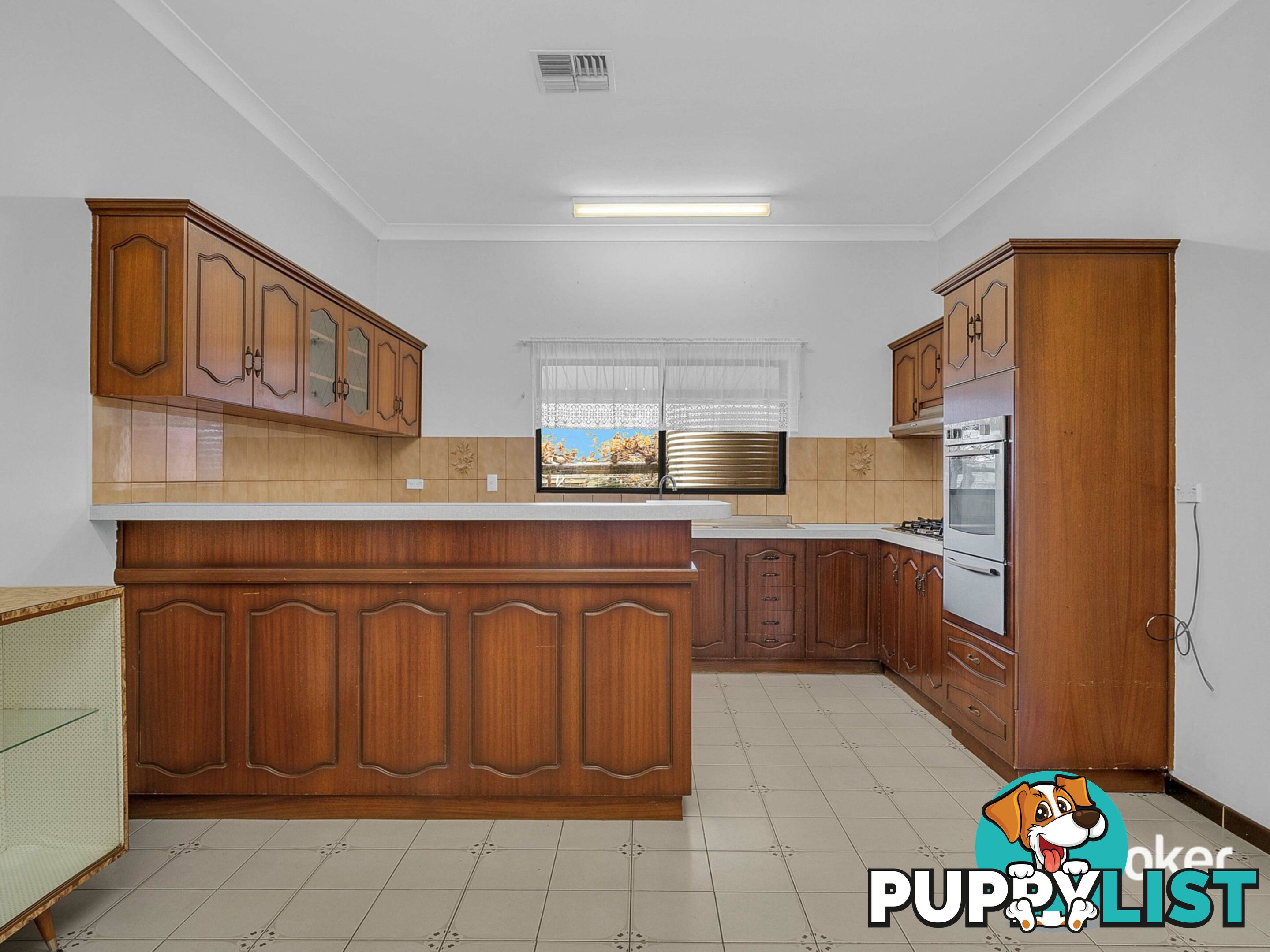62 Gladstone Road PROSPECT SA 5082