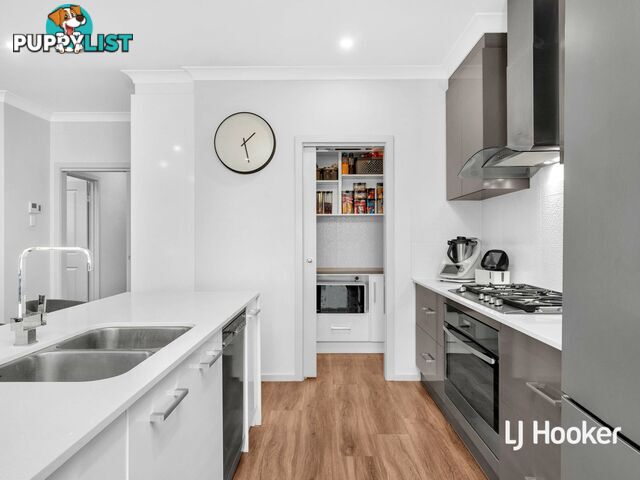 31A Fairview Tce CLEARVIEW SA 5085