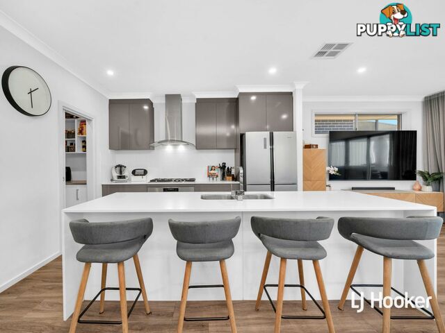 31A Fairview Tce CLEARVIEW SA 5085