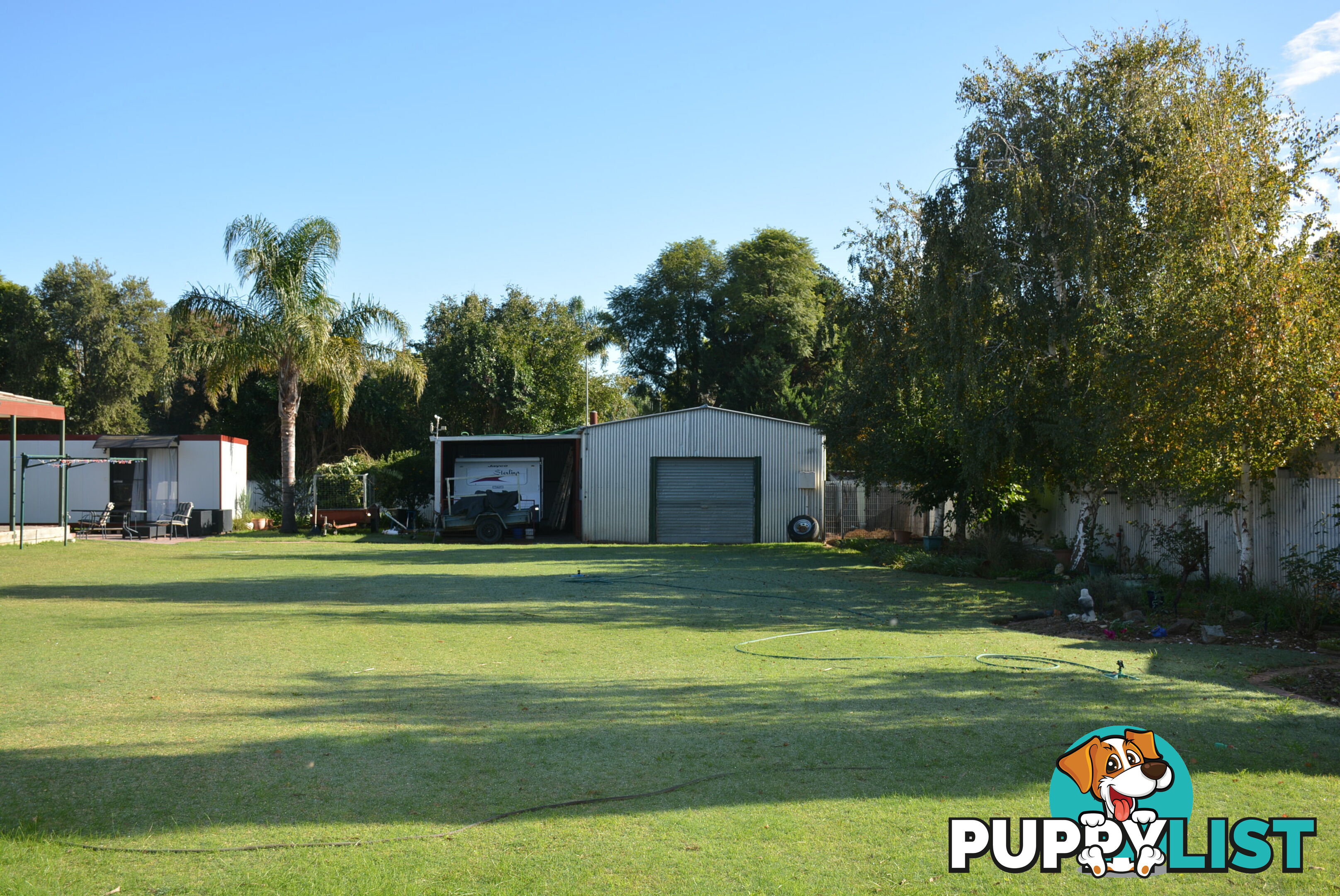 16 Gunnamara Street Barooga NSW 3644