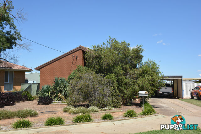 9 Golden Ct Cobram VIC 3644