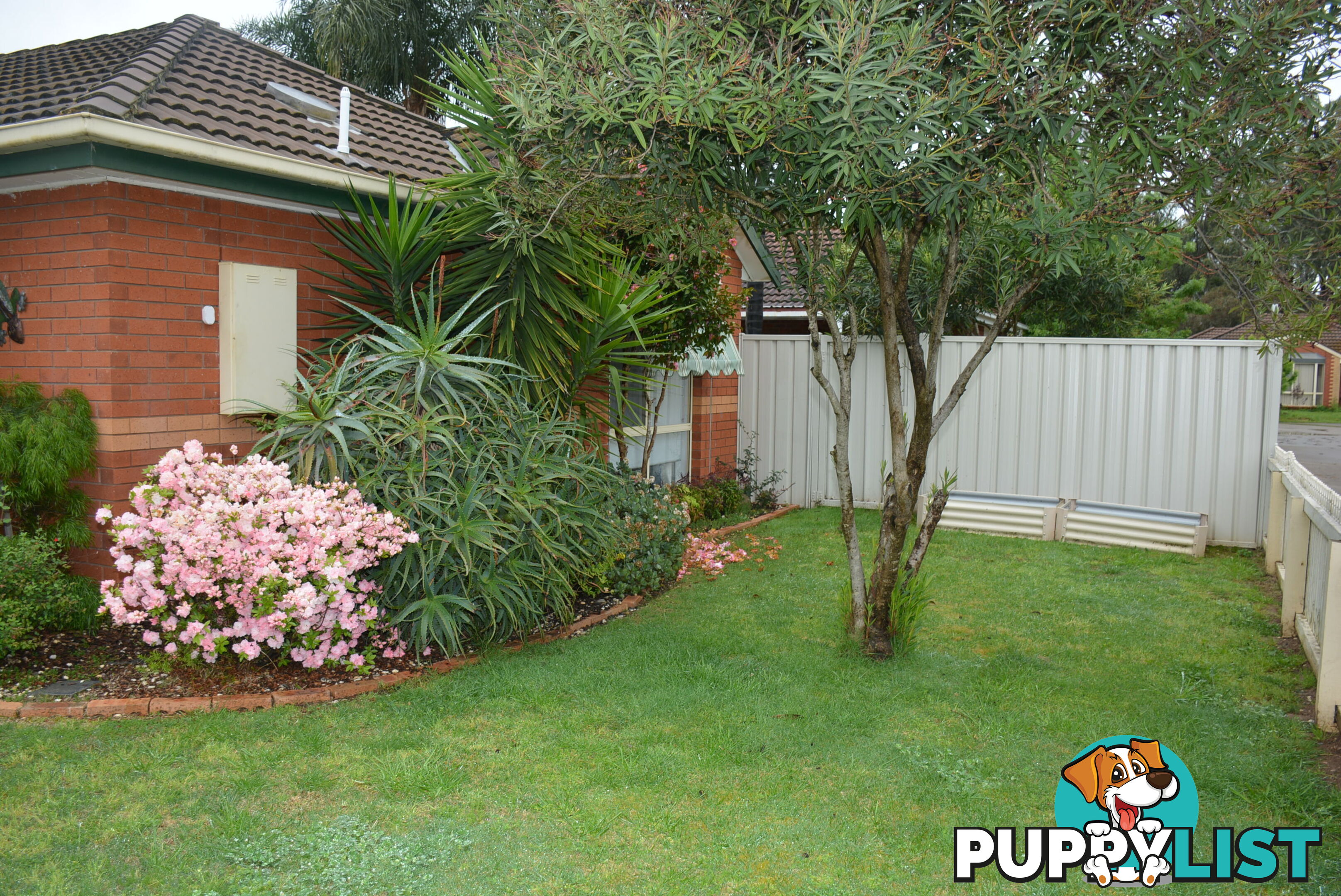 Unit 1 1 Horner St Cobram VIC 3644