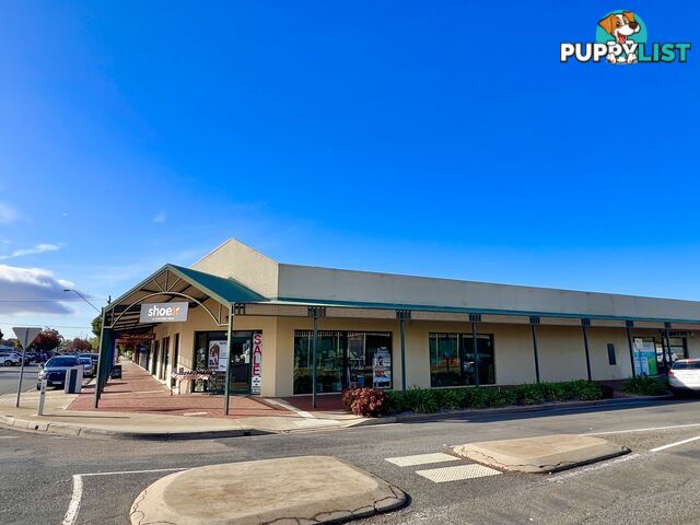 Unit 1 17 Main St Cobram VIC 3644