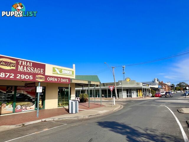 Unit 1 17 Main St Cobram VIC 3644