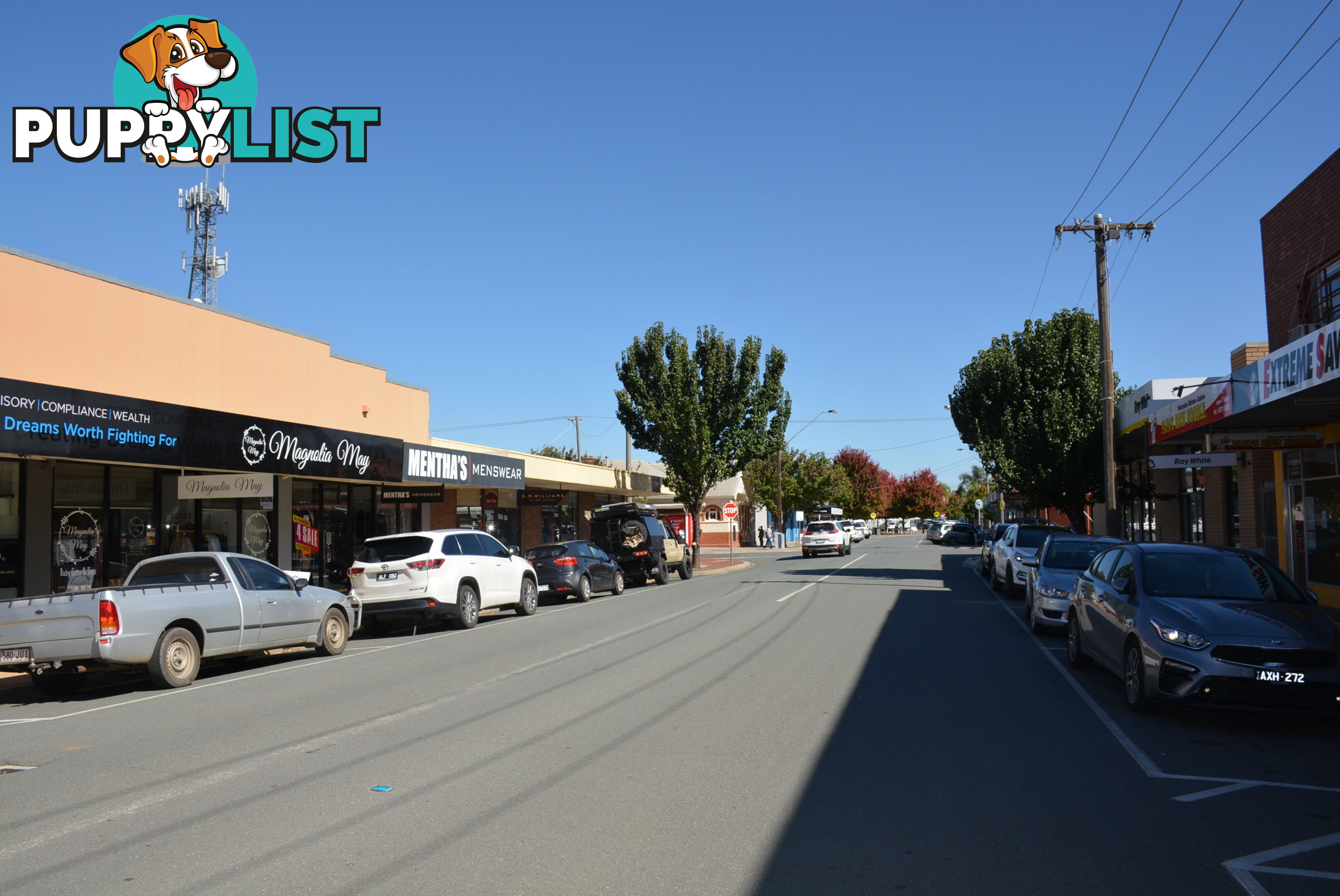 Shops 1 - 6 Bank Street Cobram VIC 3644