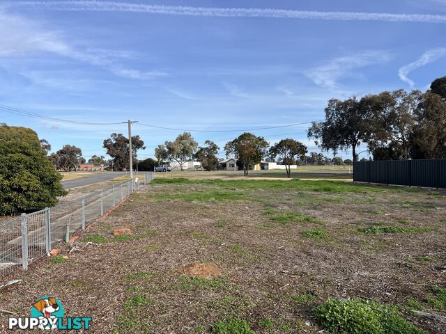 10 Murray St Cobram VIC 3644