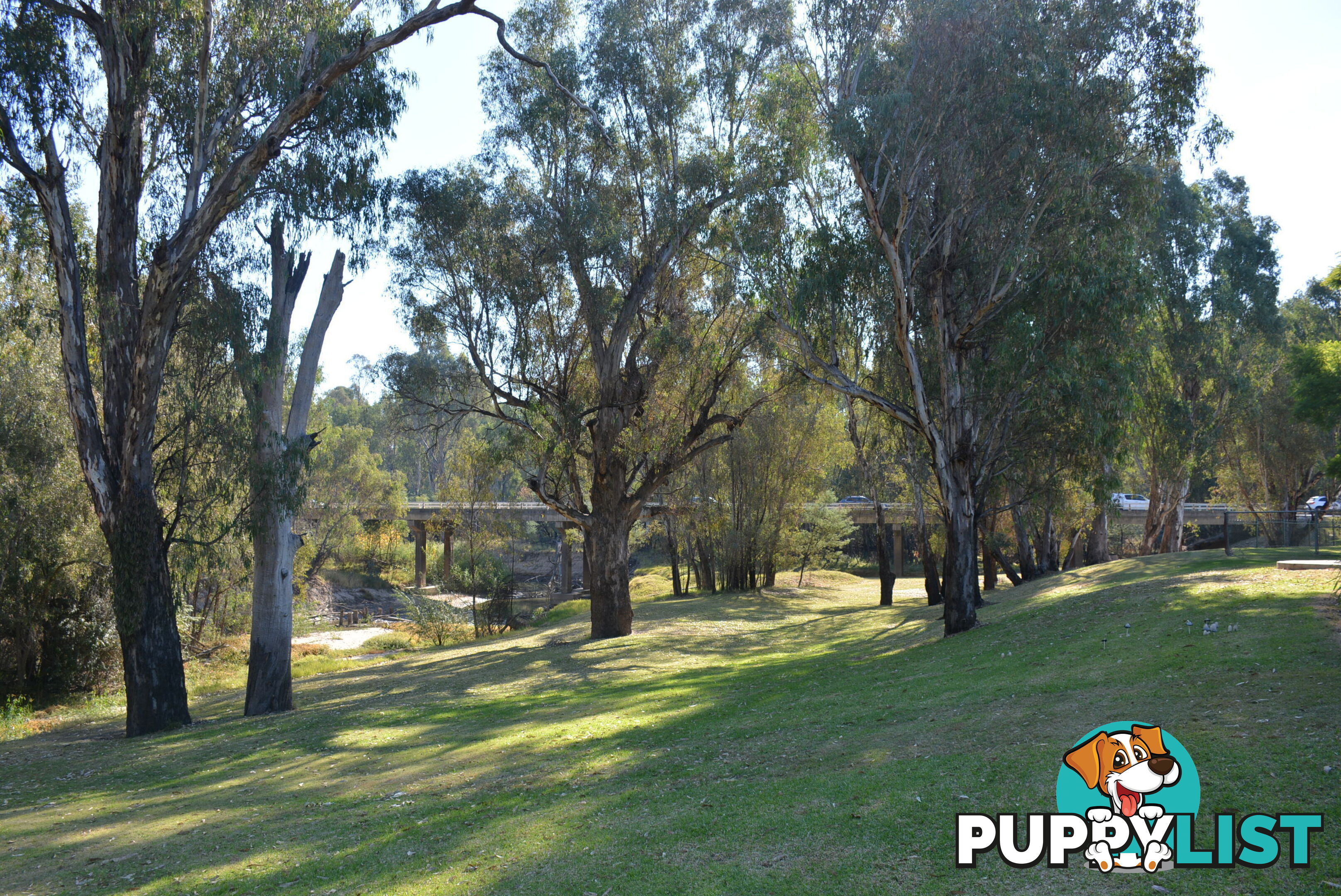 1-3 Vermont St Barooga NSW 3644