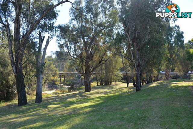 1-3 Vermont St Barooga NSW 3644