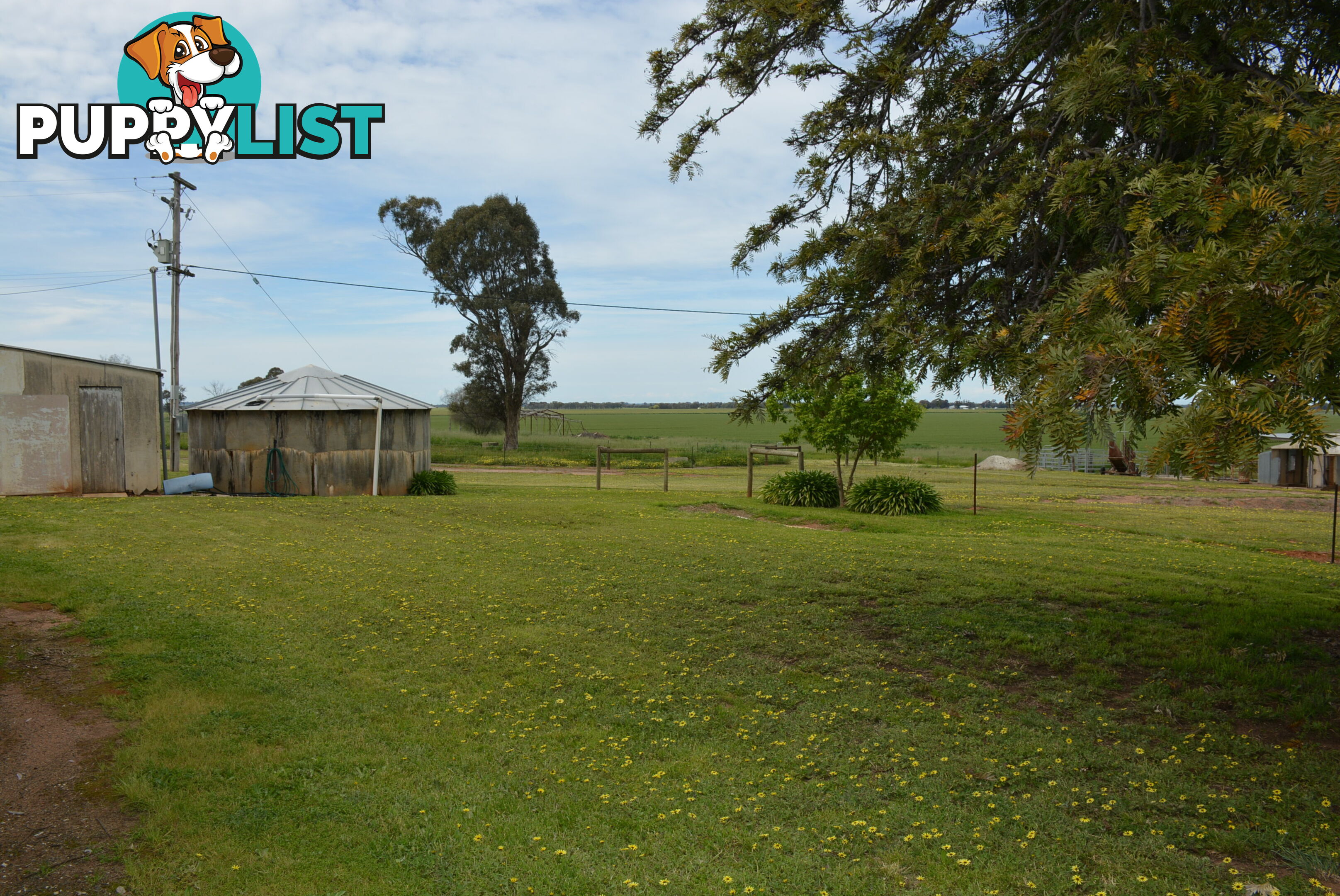 638 Coldwells Rd Barooga NSW 3644