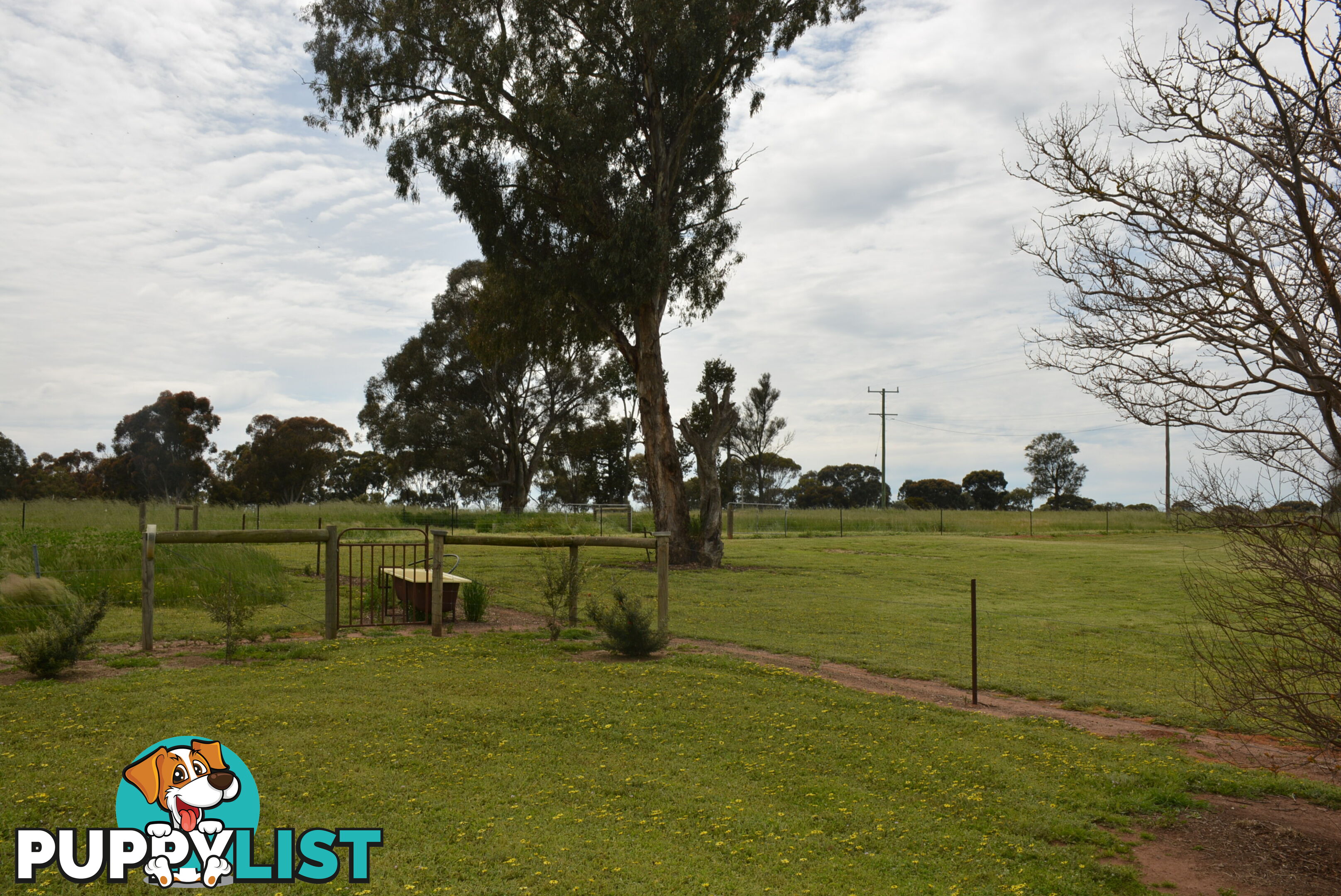 638 Coldwells Rd Barooga NSW 3644