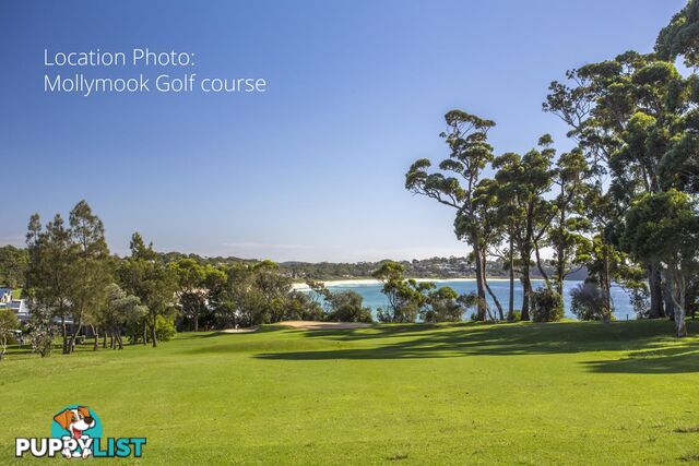 45 Golf Avenue MOLLYMOOK NSW 2539