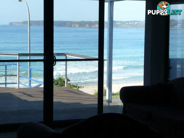 3/28 Beach Road MOLLYMOOK NSW 2539