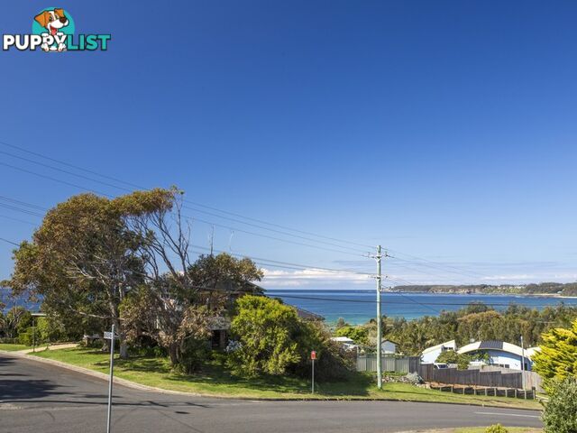 113 Mitchell Parade MOLLYMOOK NSW 2539