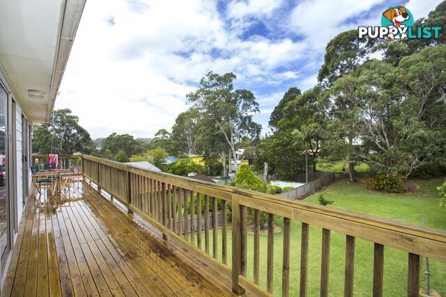 11 Treetops Crescent MOLLYMOOK NSW 2539