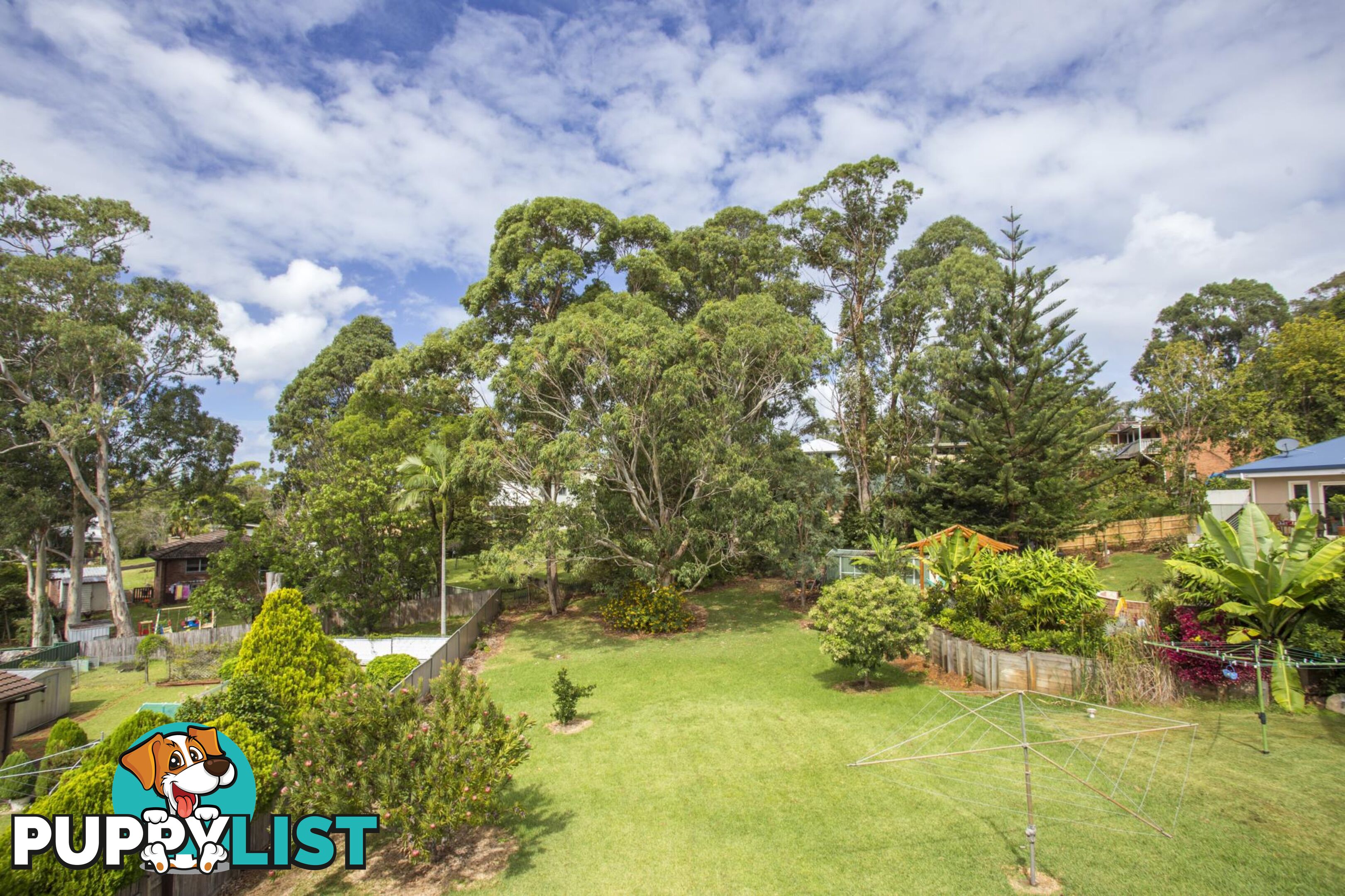 11 Treetops Crescent MOLLYMOOK NSW 2539