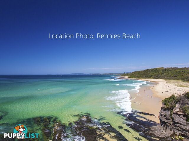 6 Rennies Beach Close ULLADULLA NSW 2539