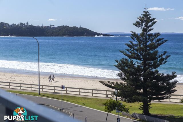 10/5-7 Golf Road MOLLYMOOK NSW 2539