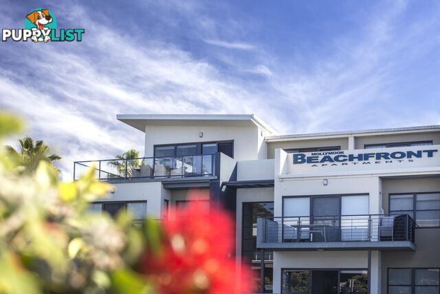 10/5-7 Golf Road MOLLYMOOK NSW 2539