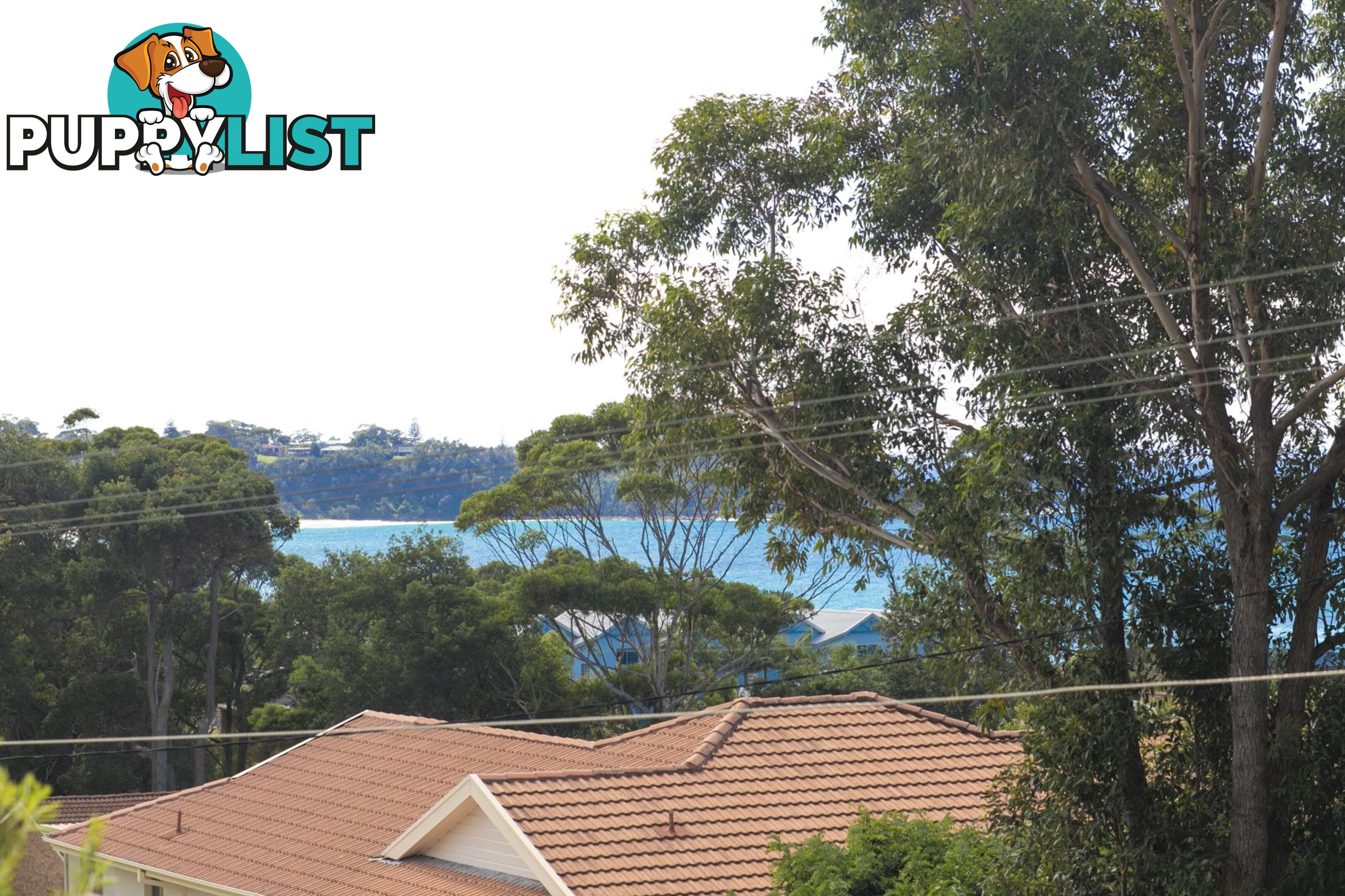 21 Davies Street MOLLYMOOK NSW 2539