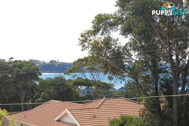 21 Davies Street MOLLYMOOK NSW 2539