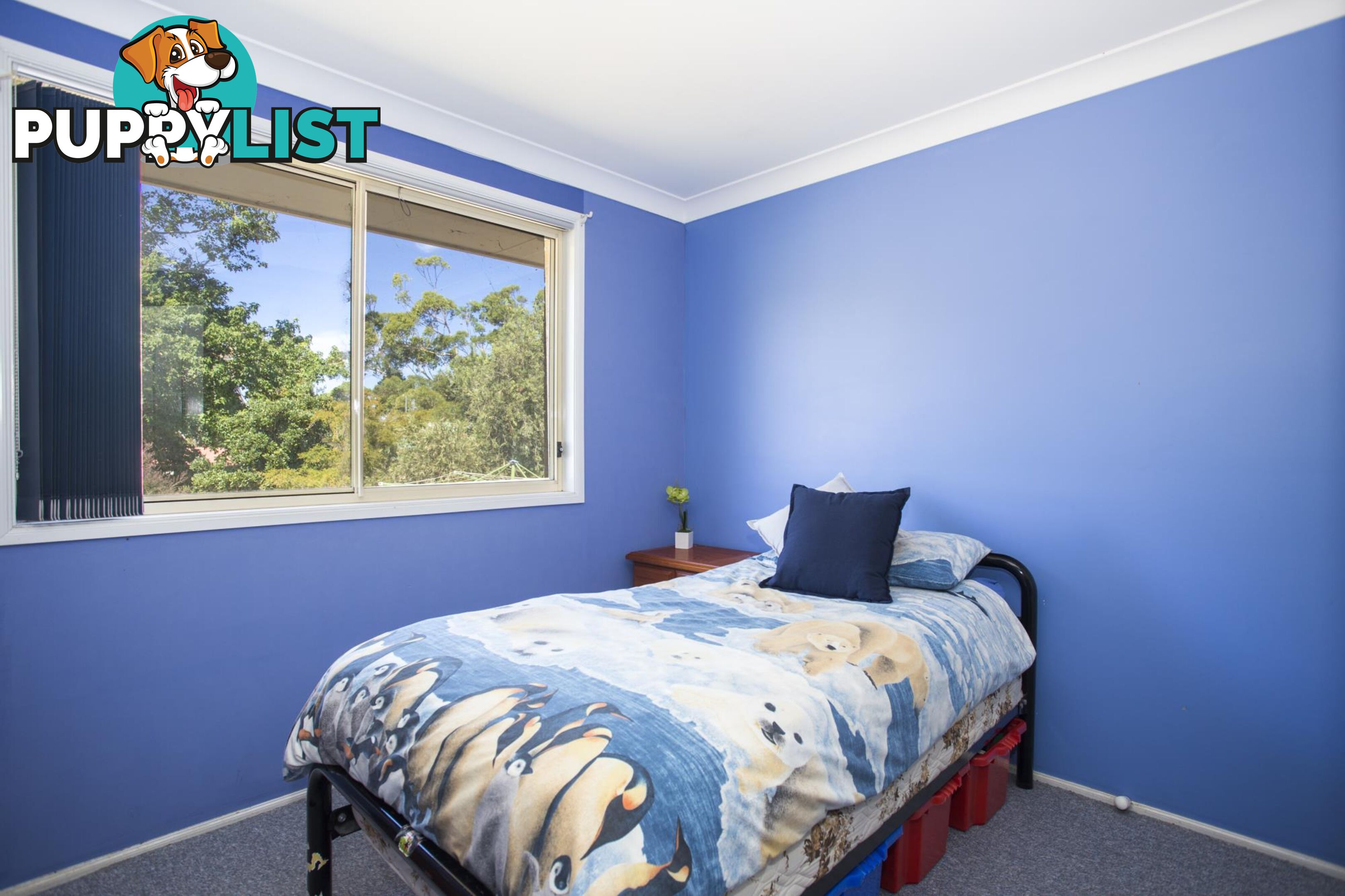 3 Glasford Crescent KIOLOA NSW 2539