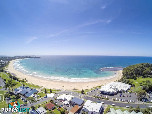 2/1 Golf Avenue MOLLYMOOK NSW 2539