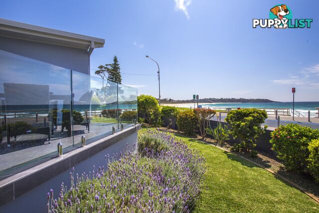 2/1 Golf Avenue MOLLYMOOK NSW 2539