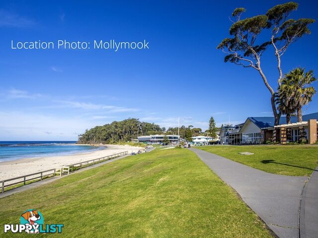 39 Garside Road MOLLYMOOK NSW 2539