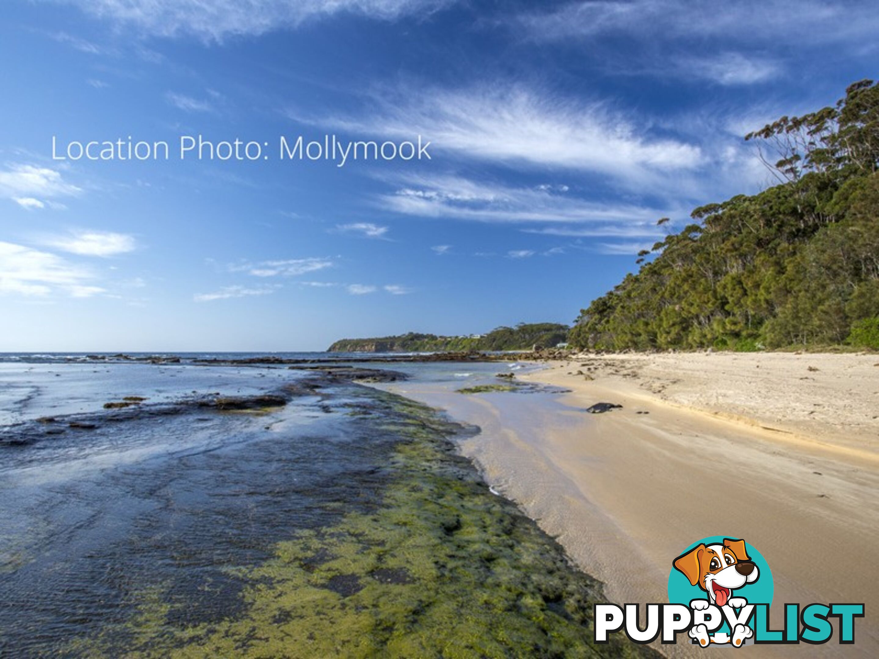 39 Garside Road MOLLYMOOK NSW 2539