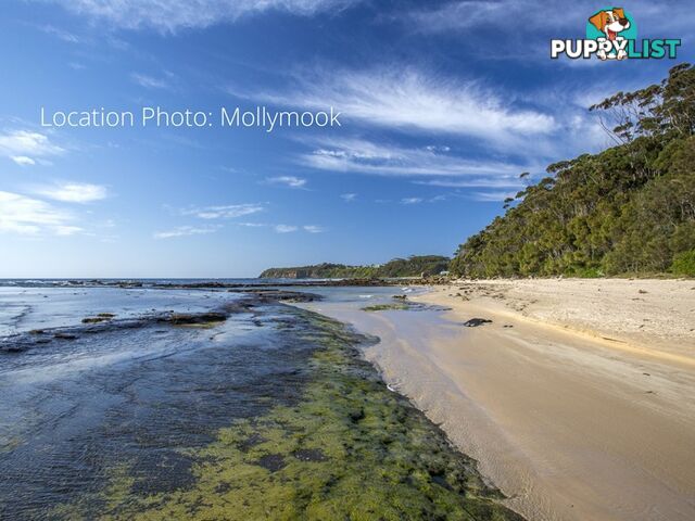 39 Garside Road MOLLYMOOK NSW 2539