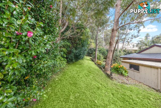 12 Molloy Street MOLLYMOOK NSW 2539