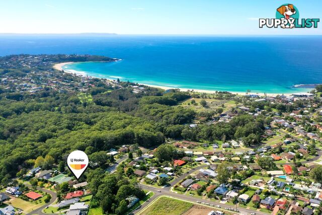 12 Molloy Street MOLLYMOOK NSW 2539