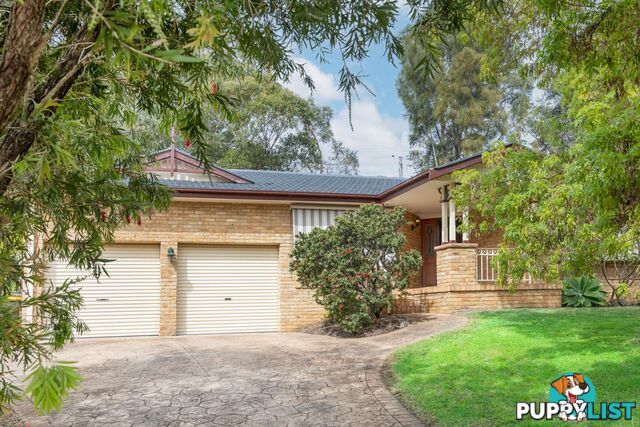 12 Molloy Street MOLLYMOOK NSW 2539