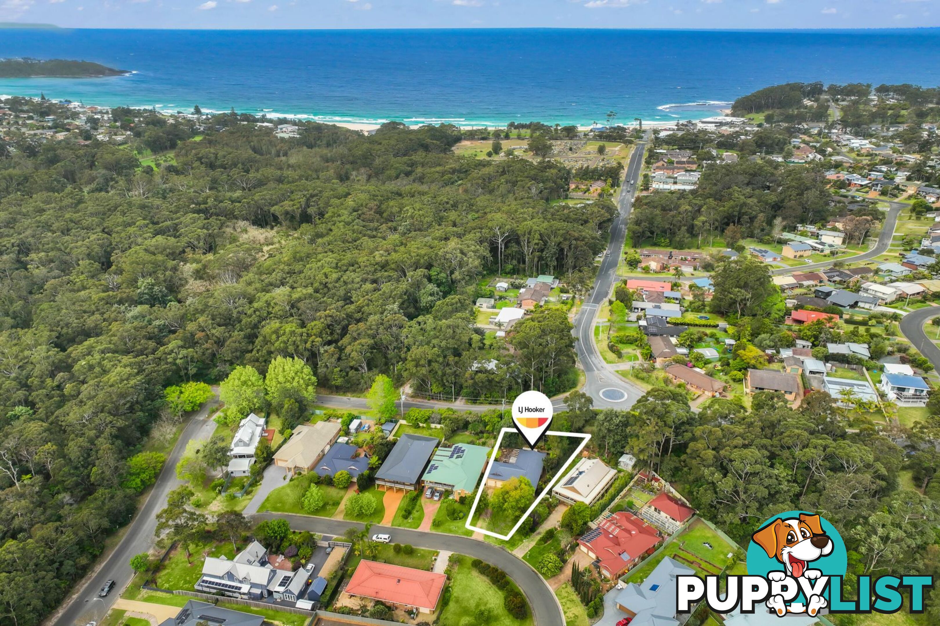 12 Molloy Street MOLLYMOOK NSW 2539